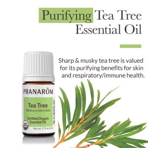 single-notes-tea-tree-pranarom-5ml-us-859493010399-02