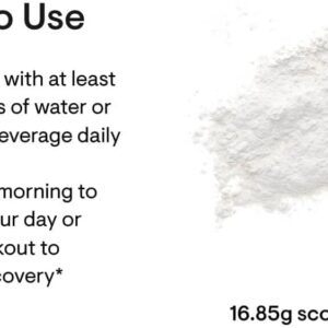 51DAncFOjHL._AC_SL1080_