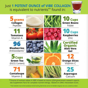 VIBE_Collagen_MINIs_1oz_Chart-1000-50__72231