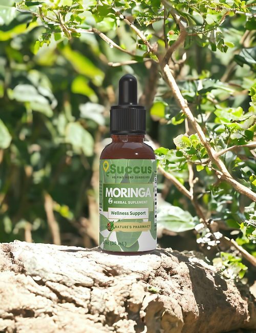 b1fbfe_f672a890e1b74d3a9b73926c4f53d6f0~mv2